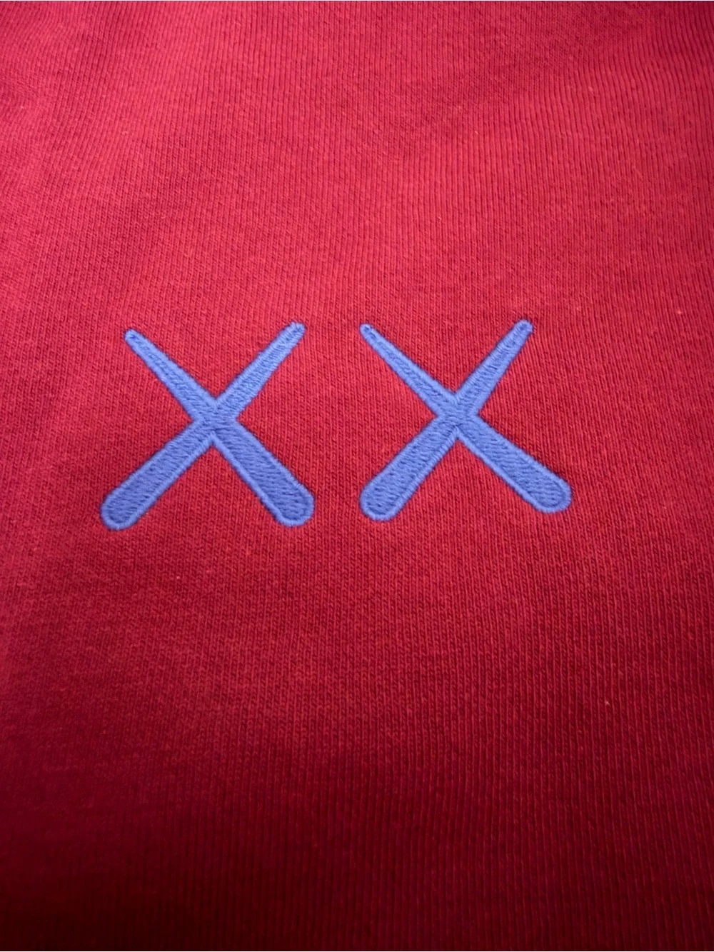 The North Face x KAWS Hoodie